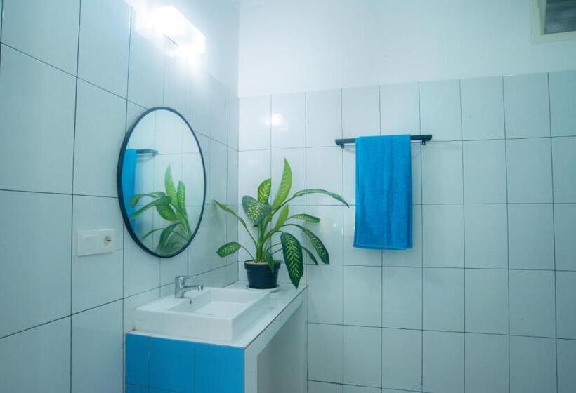 旅馆 Mad Monkey Kuta Lombok