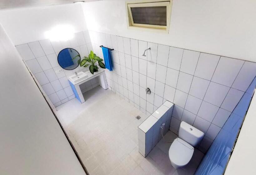 旅馆 Mad Monkey Kuta Lombok