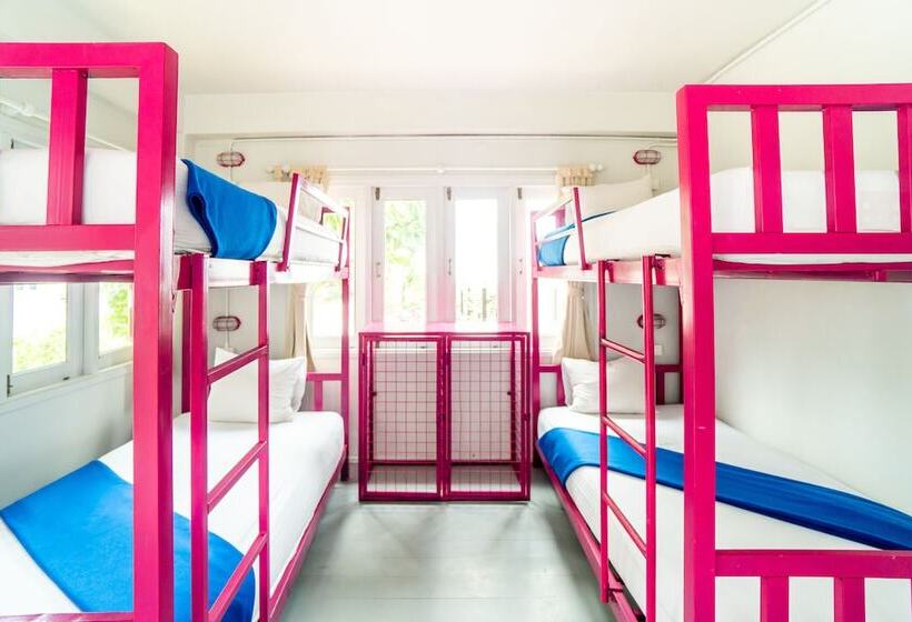 Cămin Slumber Party Koh Tao