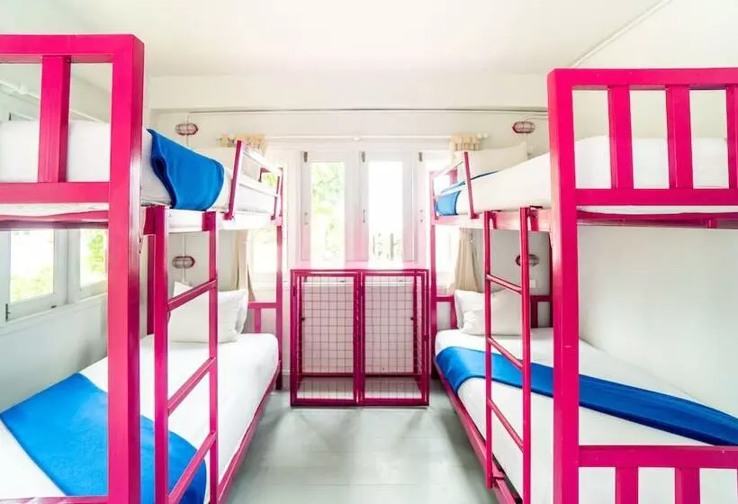 ユースホステル Slumber Party Koh Tao