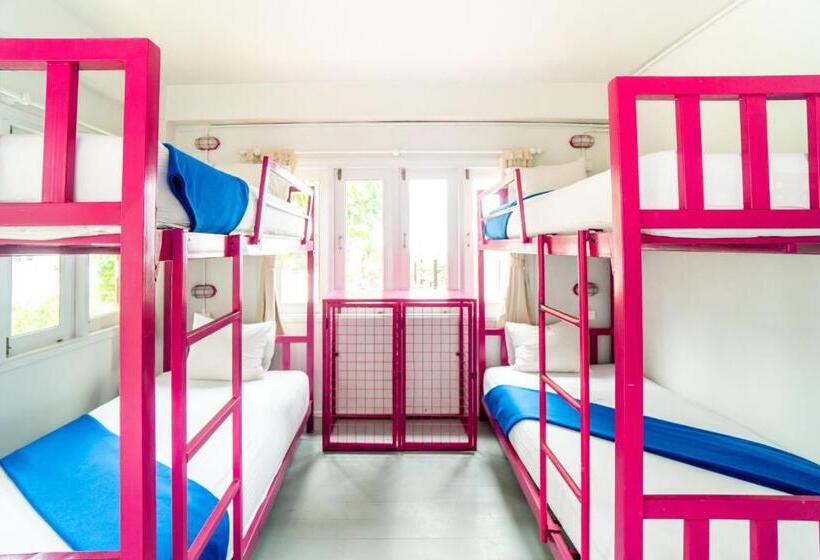 Cămin Slumber Party Koh Tao