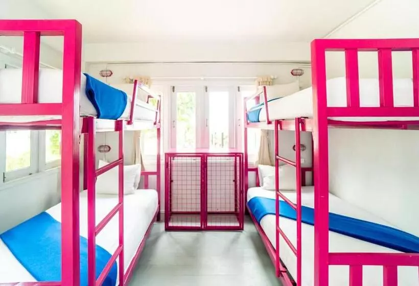 ユースホステル Slumber Party Koh Tao