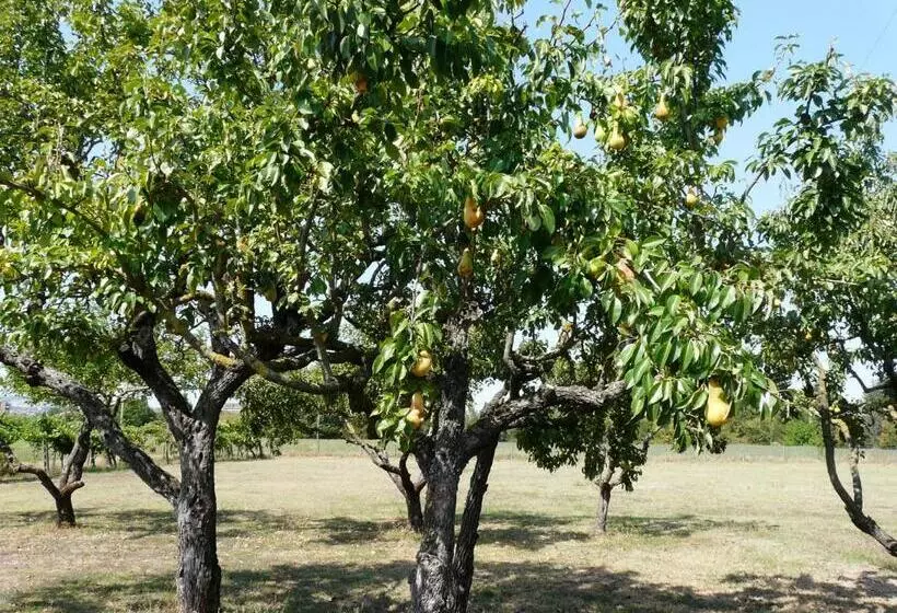 B&b Villino Margherita