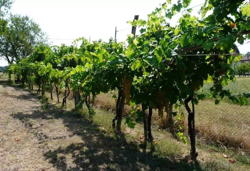 B&b Villino Margherita