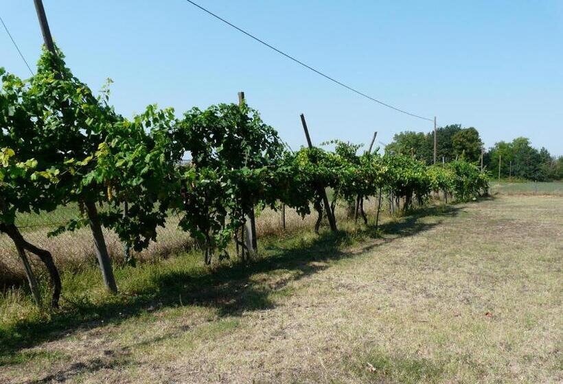 B&b Villino Margherita