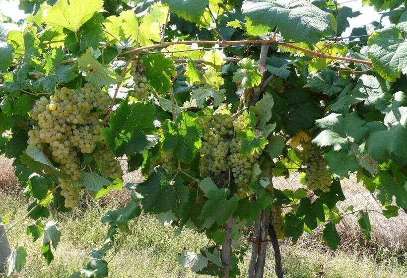 B&b Villino Margherita