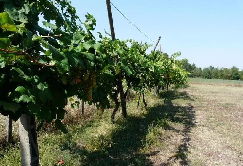 B&b Villino Margherita