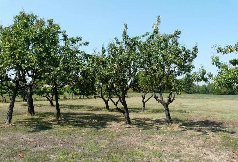 B&b Villino Margherita