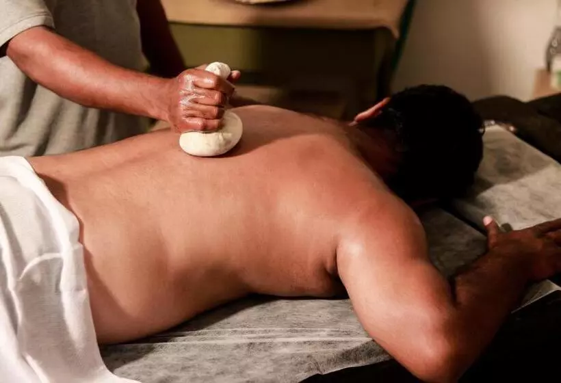 هتل Aanandakosha Ayurveda Retreat