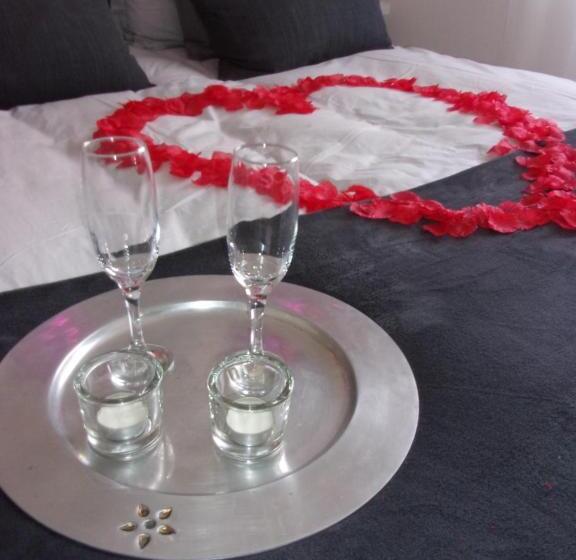 پانسیون Le Bourget   Envolée Romantique