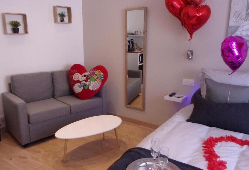 پانسیون Le Bourget   Envolée Romantique