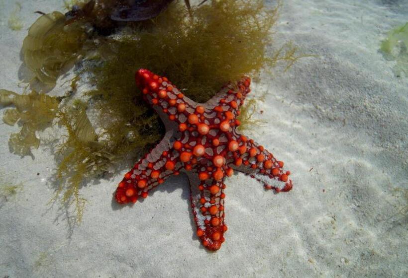 استراحتگاه The Mida Creek