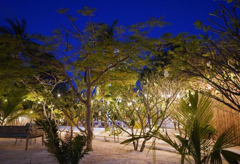 استراحتگاه The Mida Creek