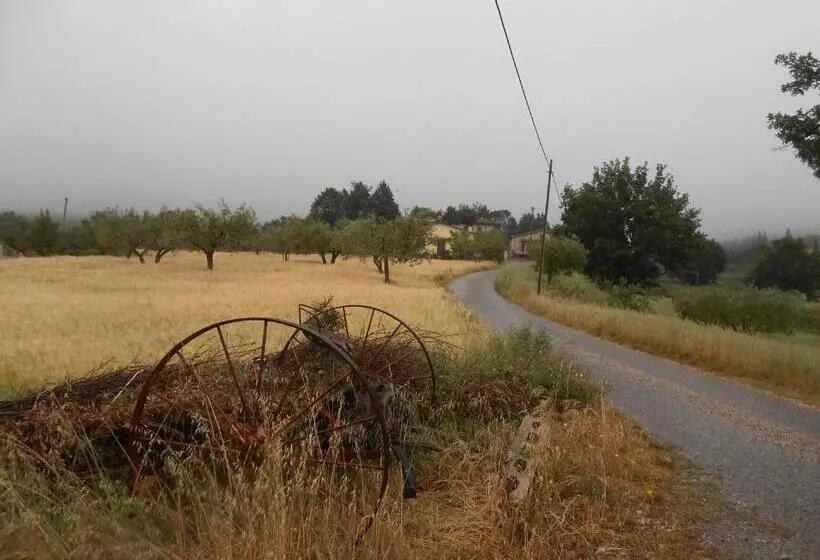B&b Il Sentiero Di Assisi