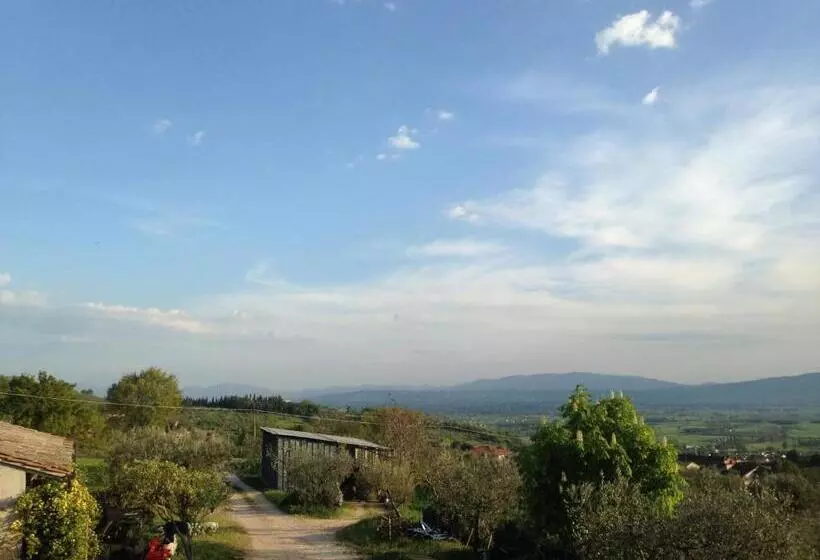B&b Il Sentiero Di Assisi
