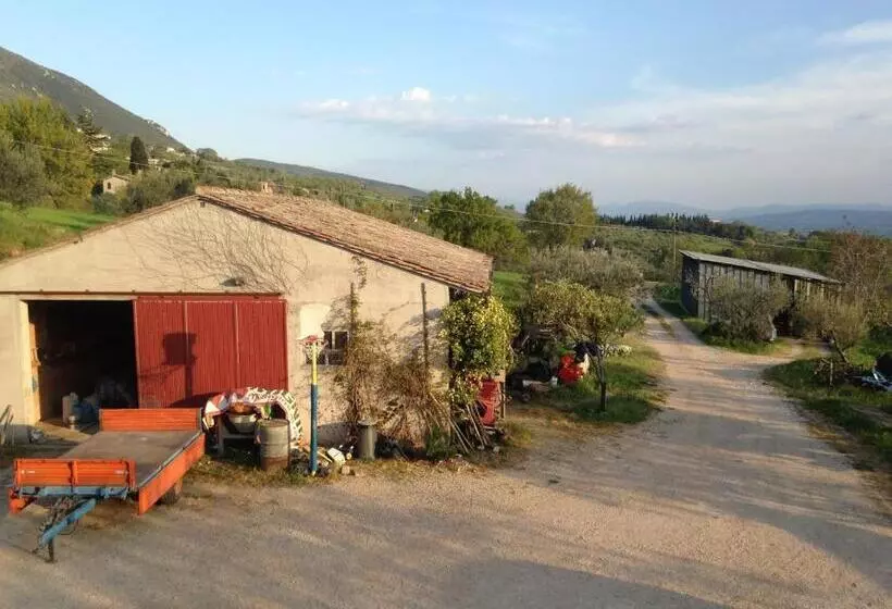 B&b Il Sentiero Di Assisi