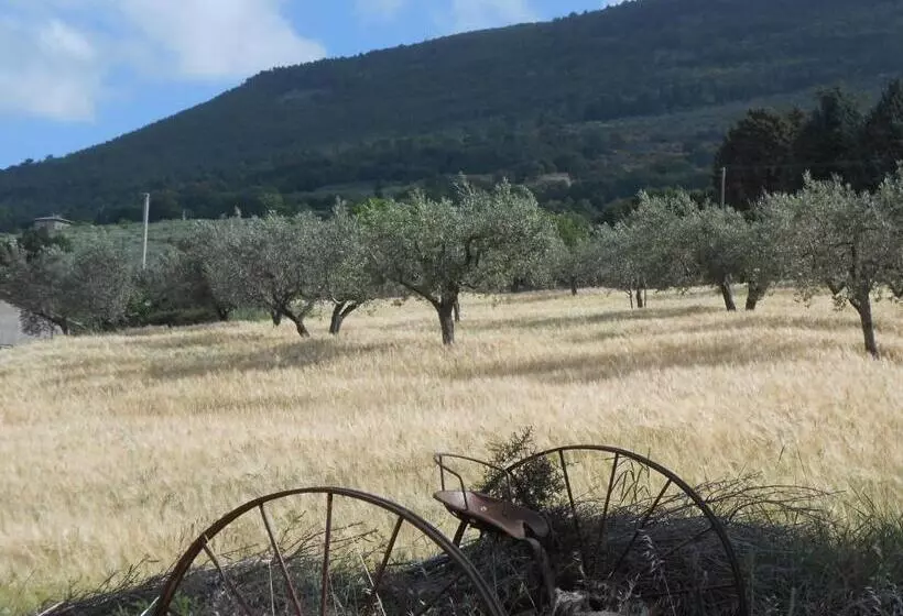B&b Il Sentiero Di Assisi