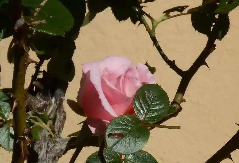 B&b Il Sentiero Di Assisi