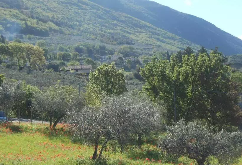B&b Il Sentiero Di Assisi
