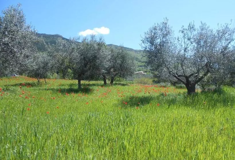 B&b Il Sentiero Di Assisi