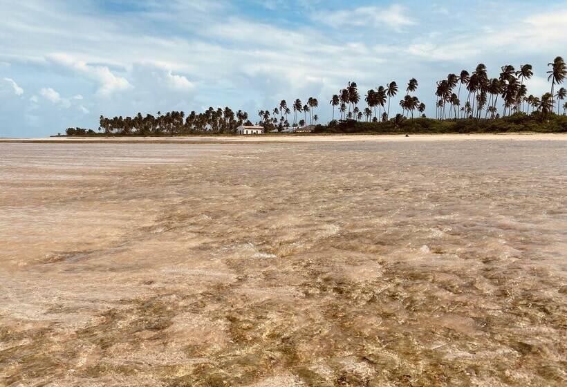 تختخواب و صبحانه Villas Patacho Milagres Ap 002 Bloco F