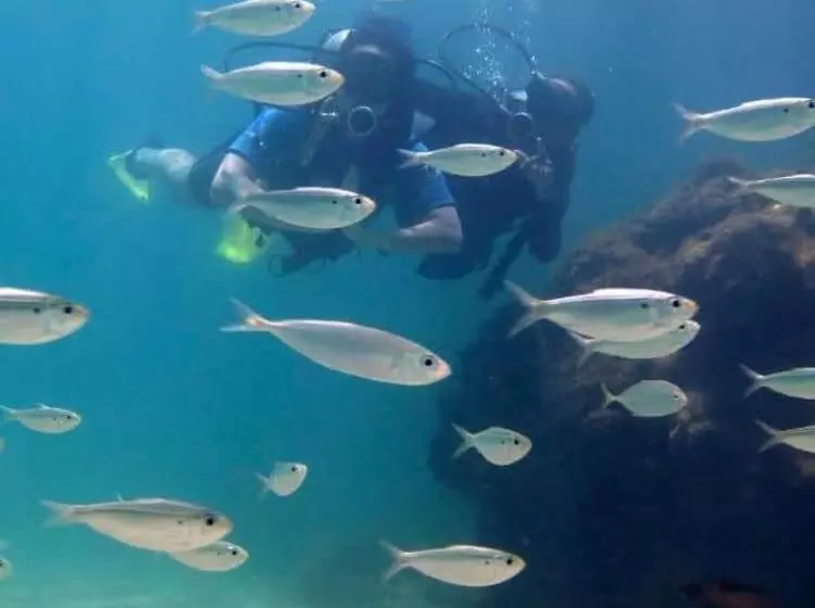Hotelli Pousada Velas E Vento   Acesso Fácil A Barra Grande