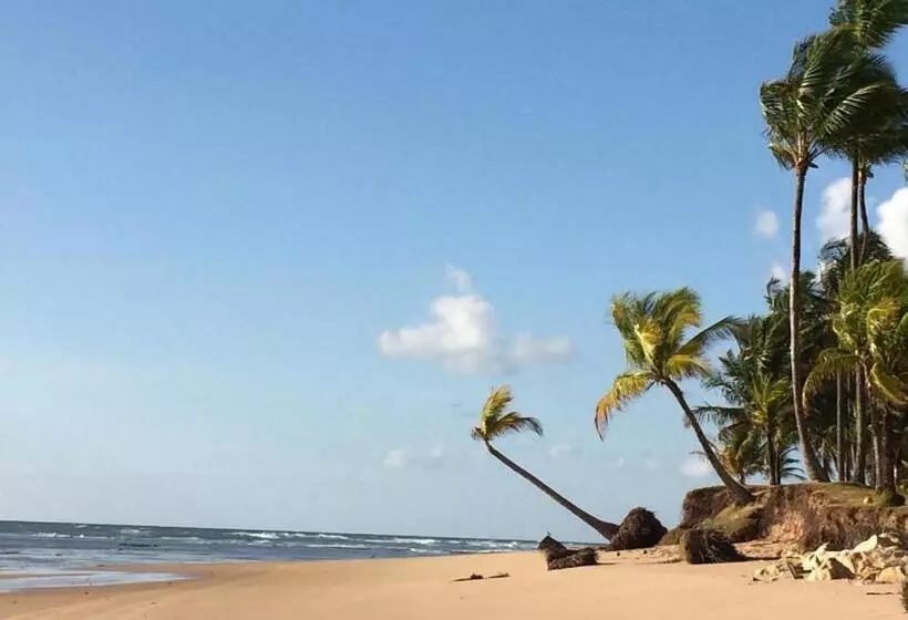 Hotelli Pousada Velas E Vento   Acesso Fácil A Barra Grande