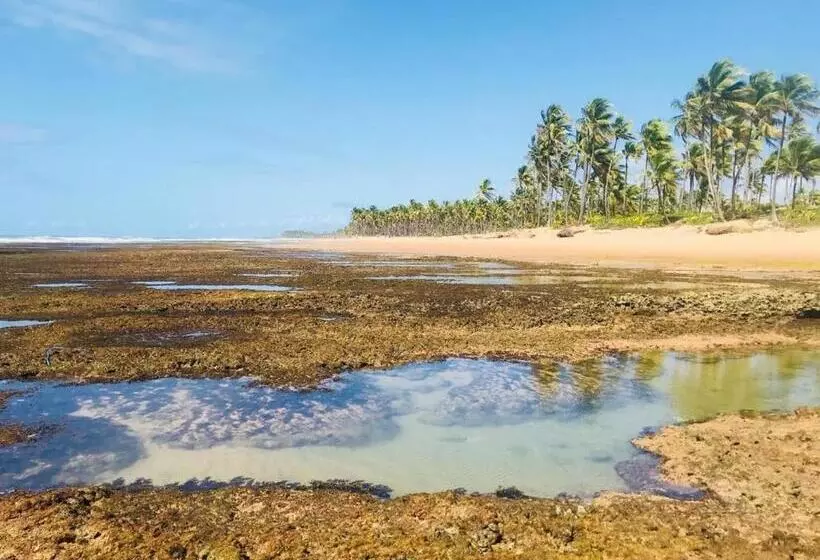 Hotelli Pousada Velas E Vento   Acesso Fácil A Barra Grande