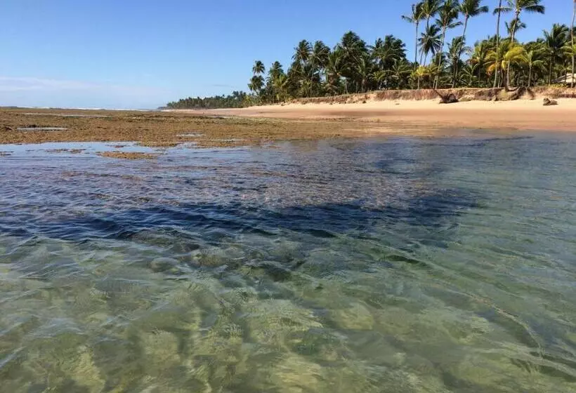 Hotelli Pousada Velas E Vento   Acesso Fácil A Barra Grande