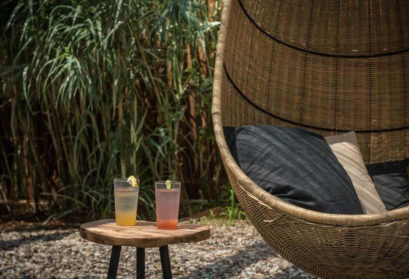 בית מלון כפרי Sensus Experience By Lavris