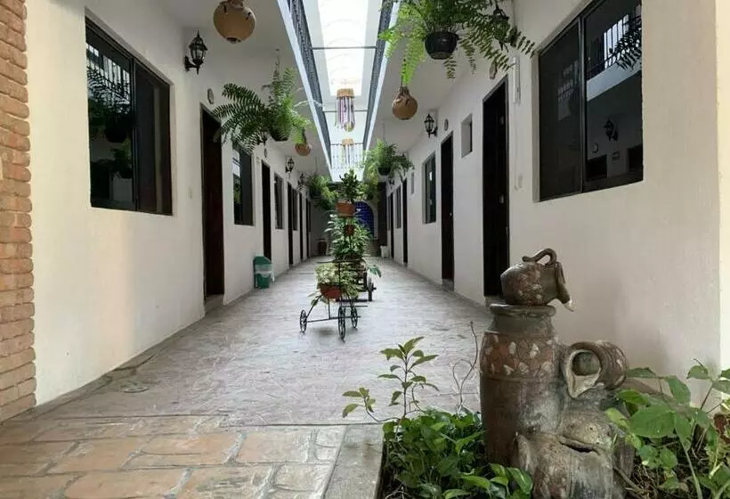 هتل Villa Esmeralda