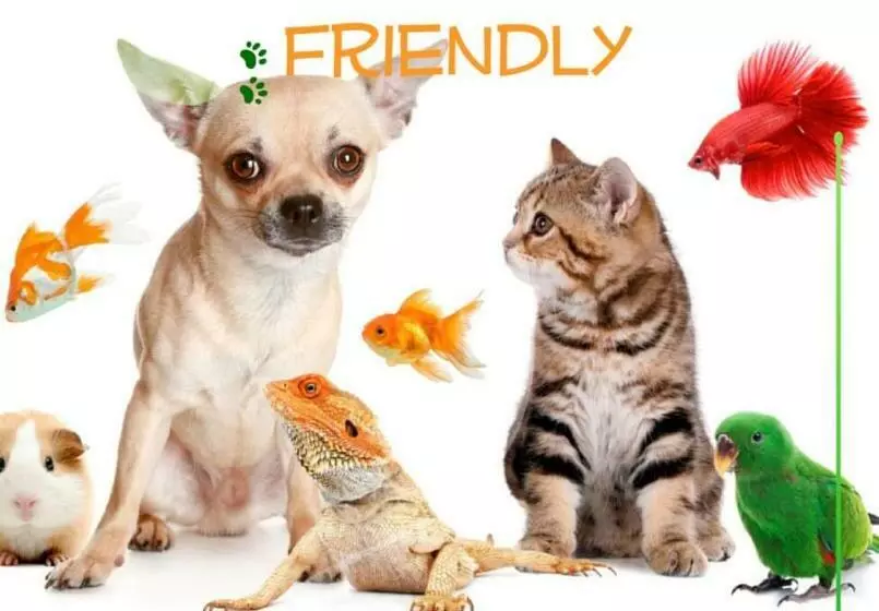 هتل Villa Esmeralda