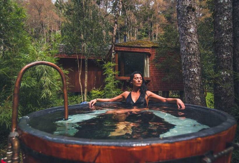 Hotel Y Termas Huife