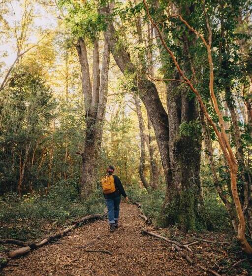 Hotel Y Termas Huife