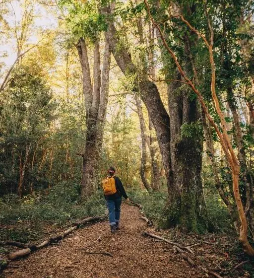 Hotelli Y Termas Huife