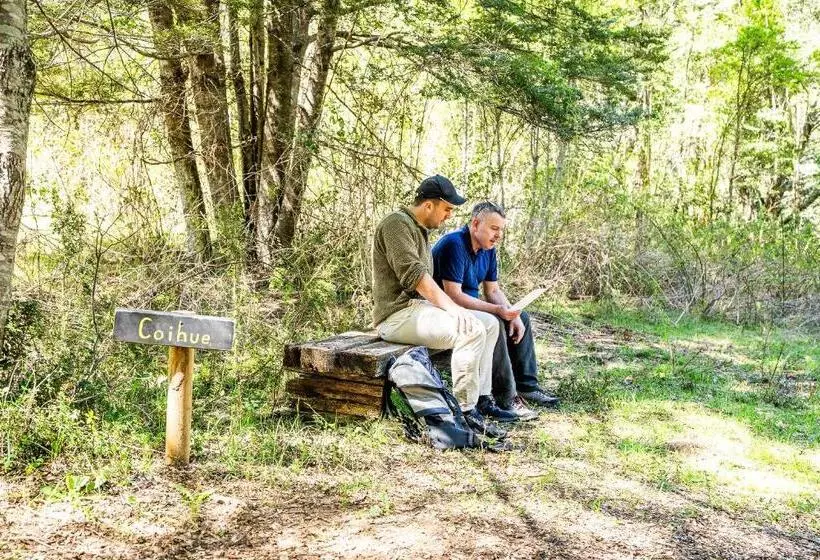 Hotelli Y Termas Huife