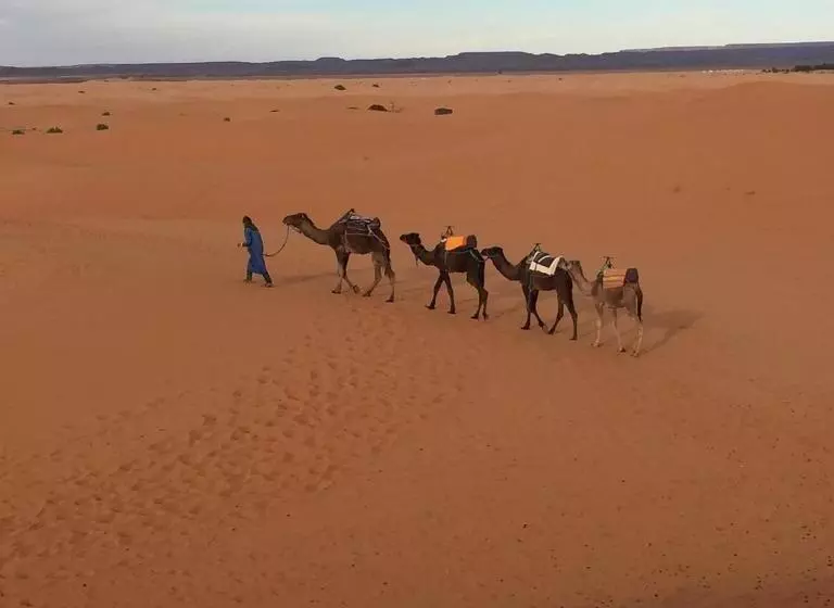 Majatalo Auberge Sahara Garden
