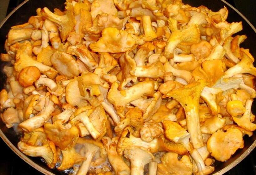 Pensão Chambres D Hôtes Les Peyrouses