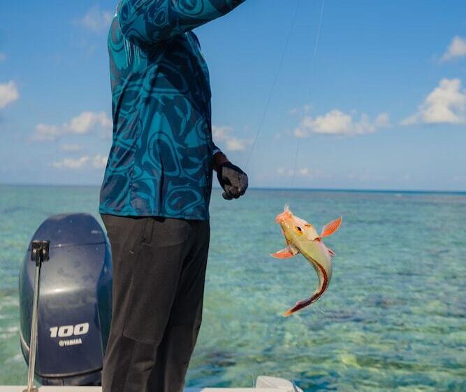 پانسیون Gaafaru View Inn