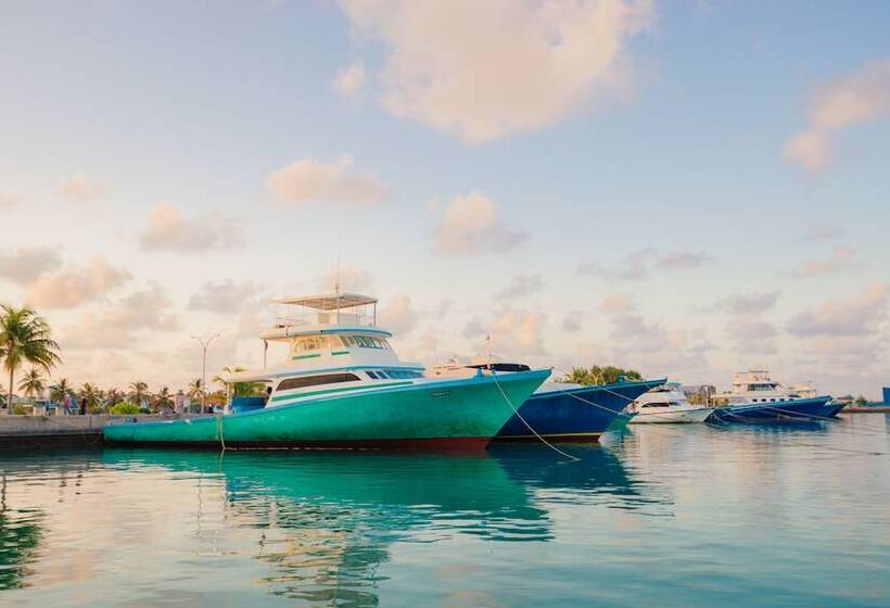 پانسیون Gaafaru View Inn