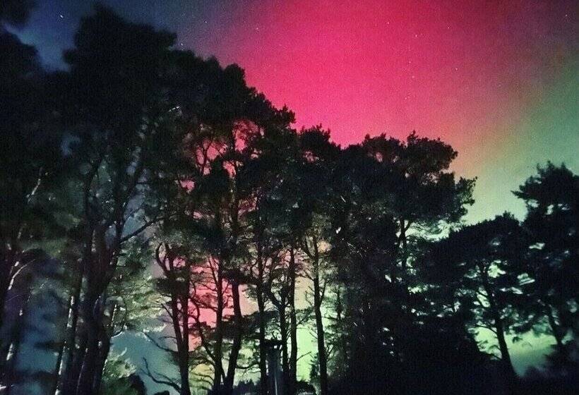 Bed and Breakfast Brora Pods