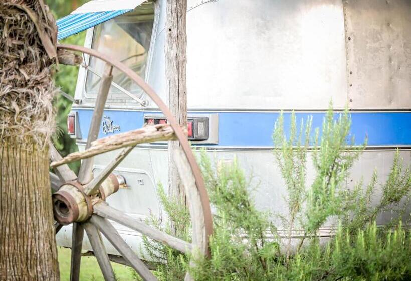 膳宿费 Paradise Ranch