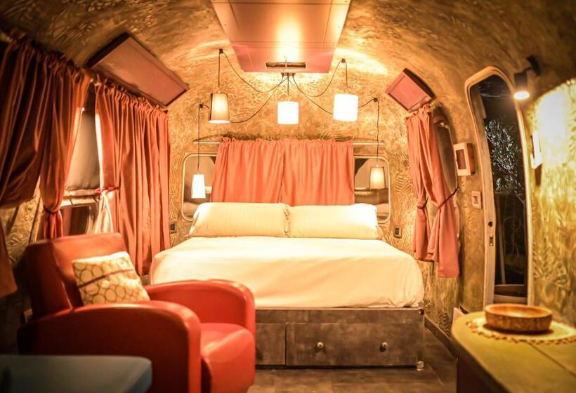 膳宿费 Paradise Ranch