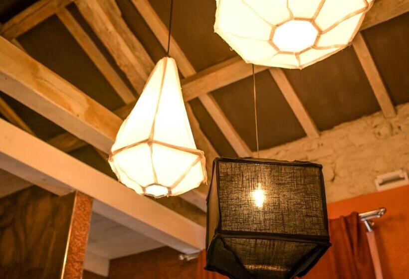 膳宿费 Paradise Ranch