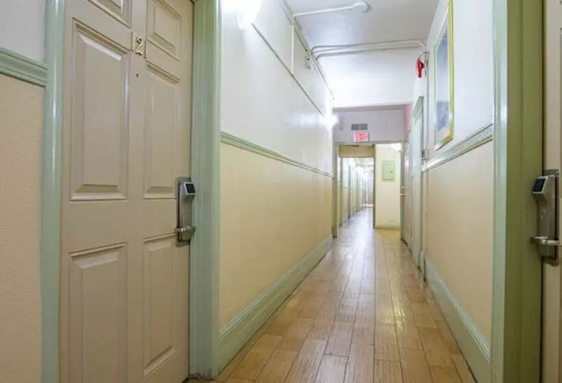 הוסטל Elite Inn