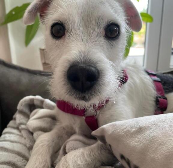 Boutique Hotel Hardthaus