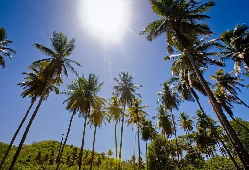 בית מלון כפרי Firefly Estate Bequia