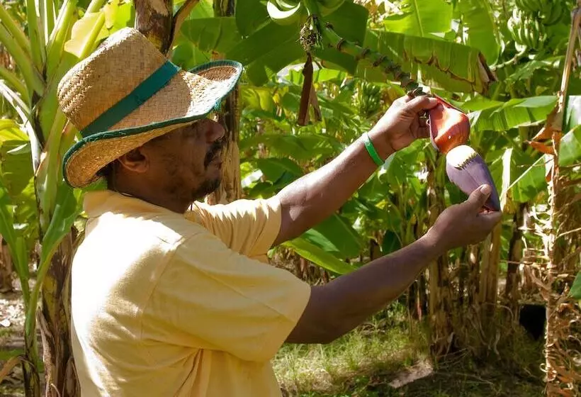 בית מלון כפרי Firefly Estate Bequia