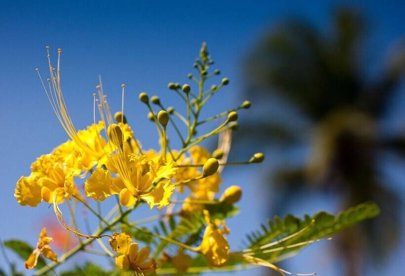 בית מלון כפרי Firefly Estate Bequia