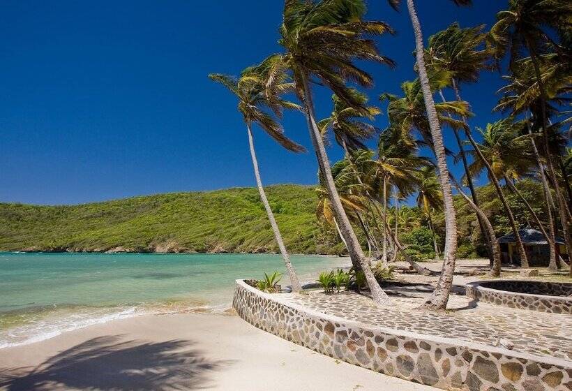 בית מלון כפרי Firefly Estate Bequia